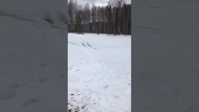Приехали на Салду-реку. смотреть онлайн