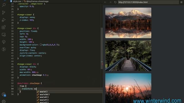 Image Viewer with CSS and JavaScript смотреть онлайн