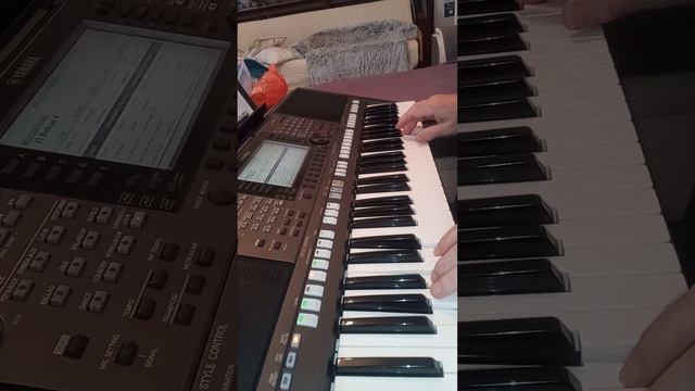 Money Factor. Vráť trochu lásky Cover Yamaha PSR s 770 смотреть онлайн