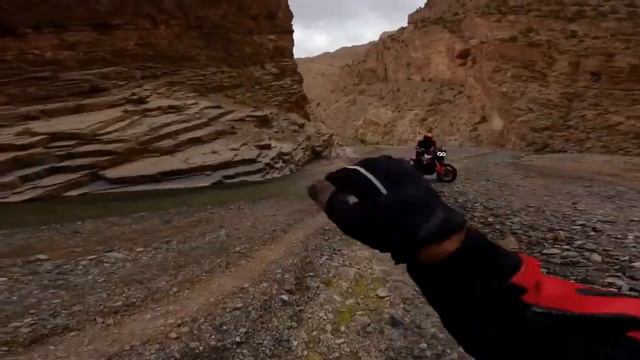 2024 Ducati DesertX Rally First Ride, Exploring The Wilderness With Unprecedented Confidence