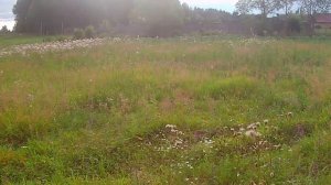 Обзор дисковой бороны