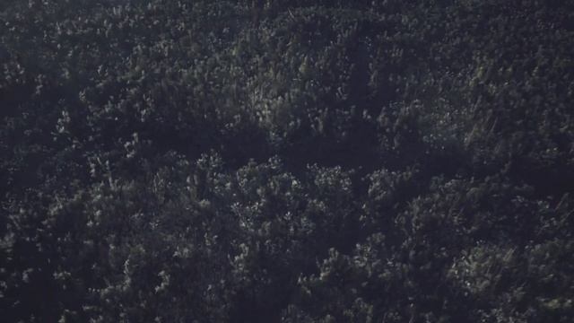 BLAIR WITCH: ALL COLLECTIBLES WALKTHROUGH CHAPTER 1 смотреть онлайн