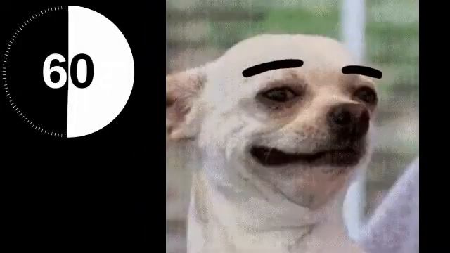 2 Minute Timer with Music - Funny/Cute Animal Edition смотреть онлайн