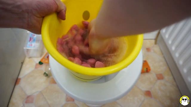 Will it Flush? - Coca Cola, Sprite, Mirinda Balloons and Pink Pigs смотреть онлайн