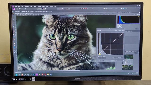 Monitor iiyama ProLite XB2783HSU-B3 - Recenzja monitora dla grafików i graczy смотреть онлайн