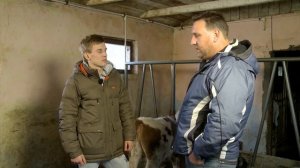 Биопрепарат ТАМИР для устранения запахов на ферме КРС