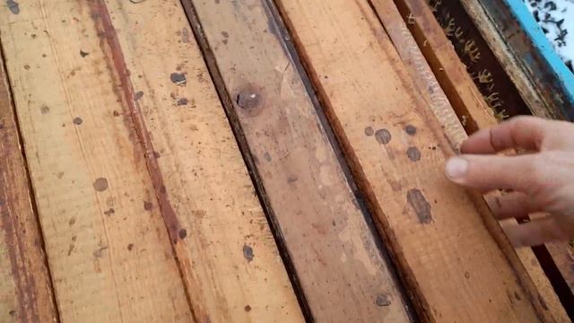 Ленивый пчеловод. Куда пропали пчелы?(2) Разные версии смотреть онлайн