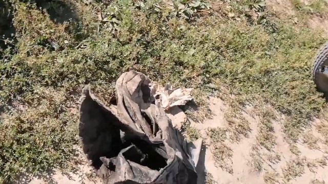 ОЧИЩАЮ ПРИРОДУ ОТ МУСОРА?/НА МИНСКЕ?️ смотреть онлайн