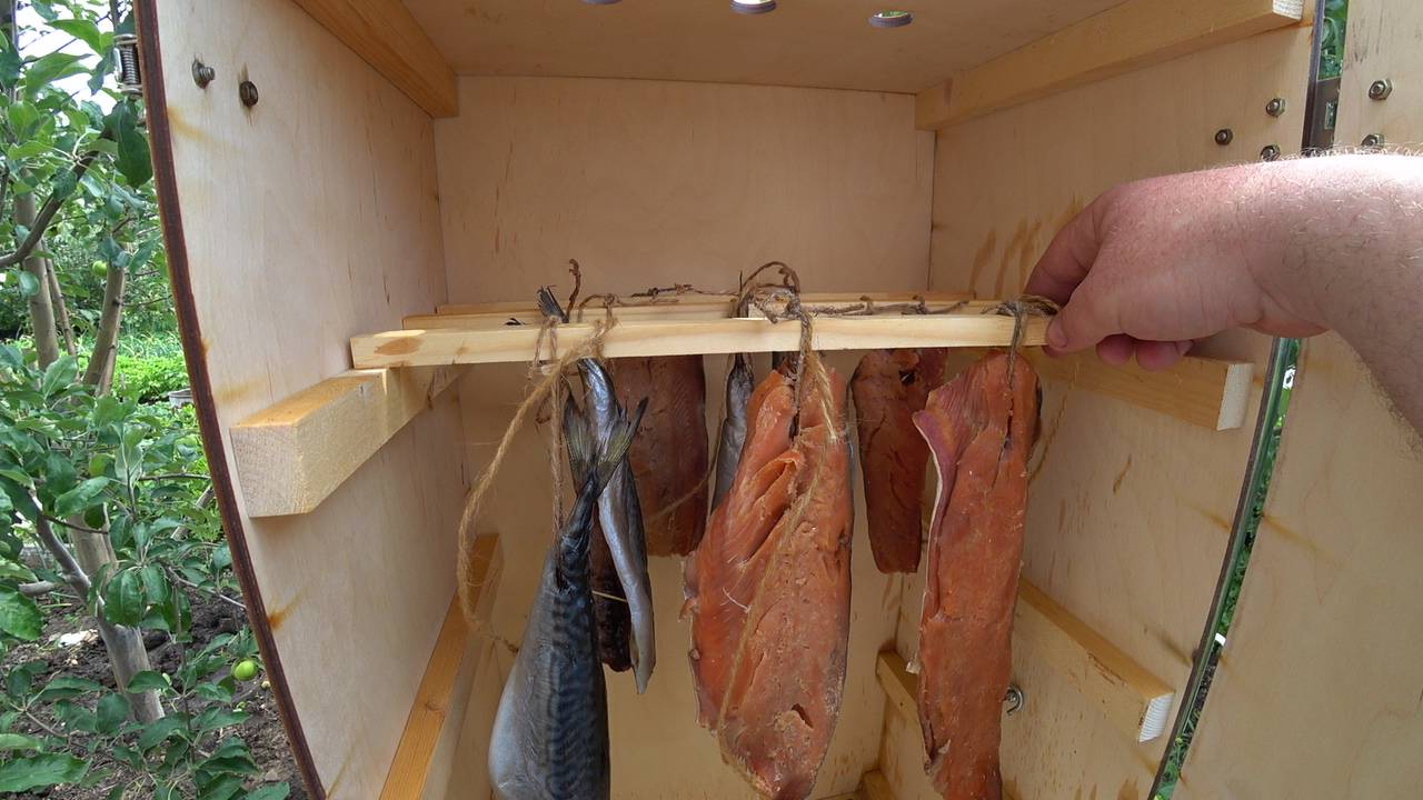 Холодное копчение скумбрии и горбуши смотреть онлайн