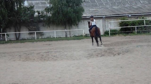 MAH00801 смотреть онлайн