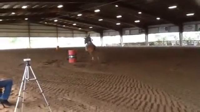 Cesar @ Magnolia TX 12/10/16 смотреть онлайн