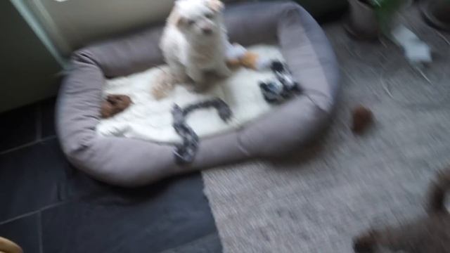 GIRLS TRIP Lofoten Island, Norway смотреть онлайн