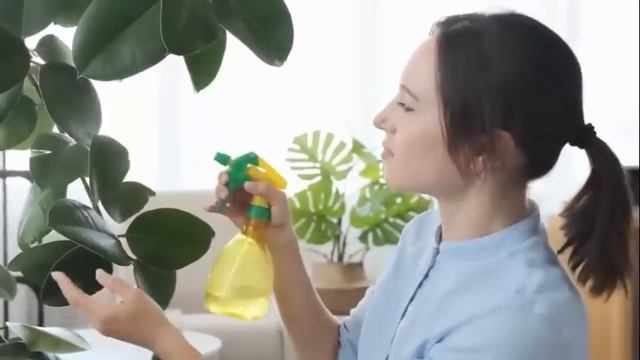 ДЕНЕЖНОЕ ДЕРЕВО ЦВЕТЕТ ПОСТОЯННО ПОСЛЕ ТАКОЙ ПОДКОРМКИ И ПРИНОСИТ УДАЧУ смотреть онлайн