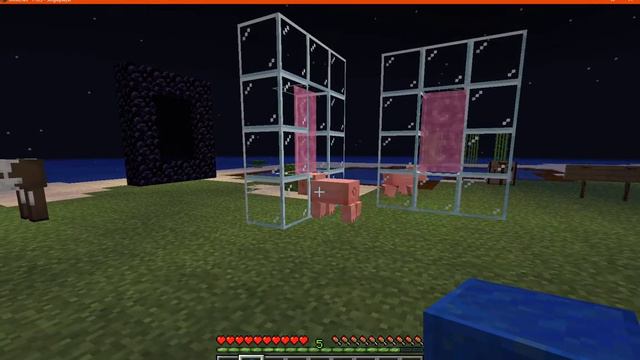 Custom Portals 1.16.3 Fabric Mod Overview