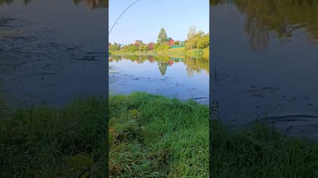 Удача. Я ее люблю