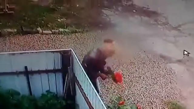 Видео с камеры наблюдения, воровку так и не нашли. Болотное, Новосибирская область смотреть онлайн