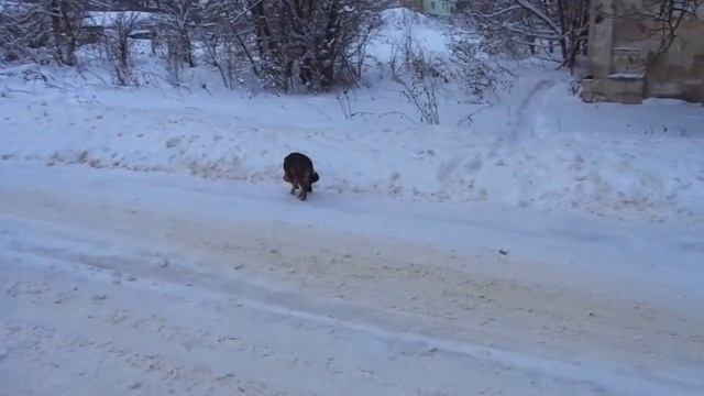 Деревня. Дома .Машины. смотреть онлайн