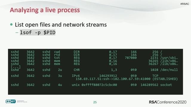 Hunting Linux Malware for Fun and Flags смотреть онлайн