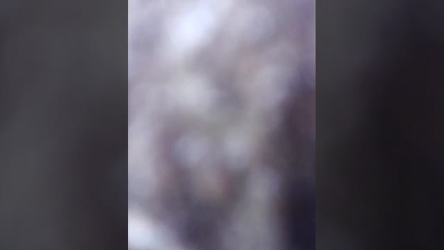 Мы нашли шалаш в лесу мальчиков. смотреть онлайн