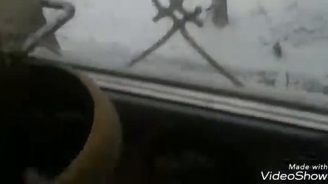Что о бо мне думают мои звери? смотреть онлайн