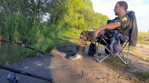 Поехал на карасиный пруд в Подольский район. Утро.Ясно. Ловля на поплавочную удочку.Клёново.Мотыль.