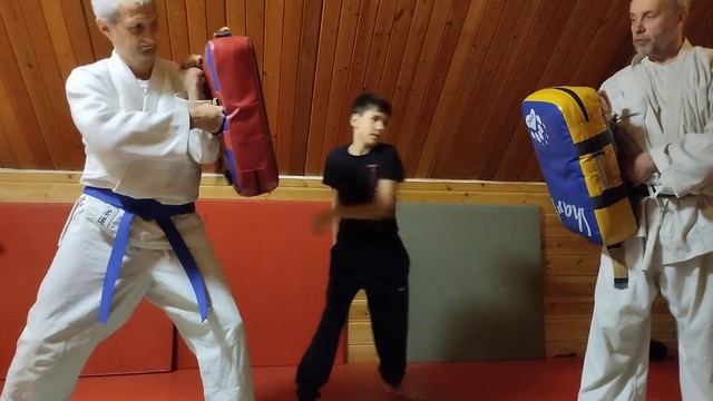 наработка ударов по лапам, элемент подготовки для чего? Для чего то.))) смотреть онлайн