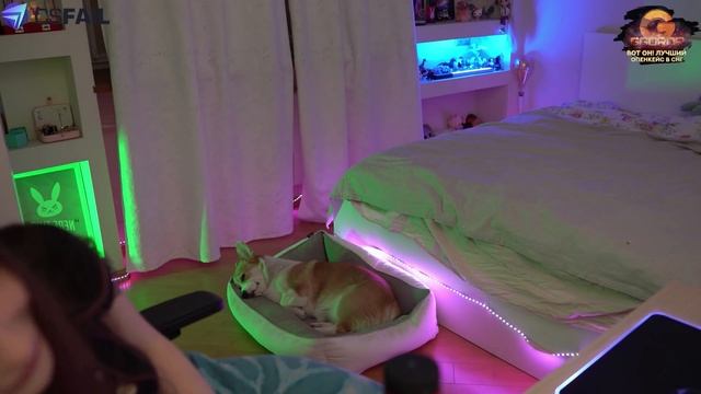 муд диппер смотреть онлайн