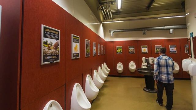 The Viral Ad Campaign Run By Animals смотреть онлайн