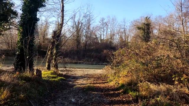 Зна́ток Максимка | ГЕРМАН ШЕНДЕРОВ смотреть онлайн