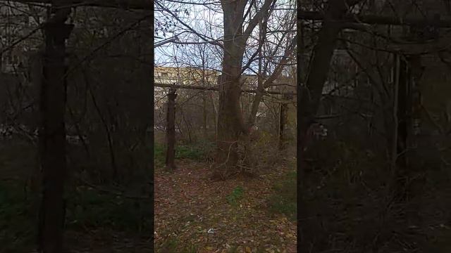 Снос заброшенного детсада из СССР смотреть онлайн