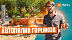 Капельный полив для ЦВЕТОВ В ГОРШКАХ - это просто! | Мастер класс по автополиву