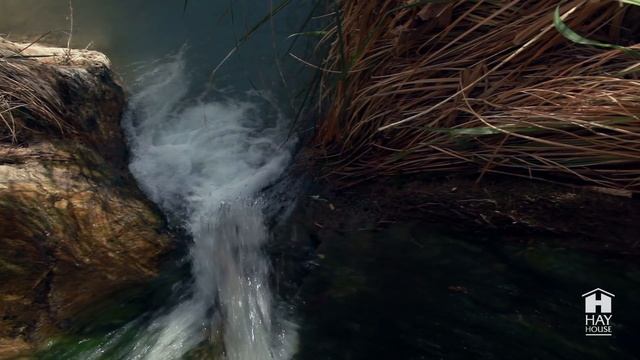 Louise Hay’s Morning Meditation смотреть онлайн