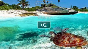 Дыхание черепахи (вдох 20 сек., выдох 20 сек.)