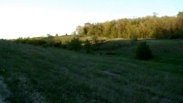 Голоса биглей. Нагонка на зайца. смотреть онлайн