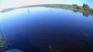 Рыбалка на Рыбинском водохранилище (Стёпаново). Июль 2019. Рыбные места №6