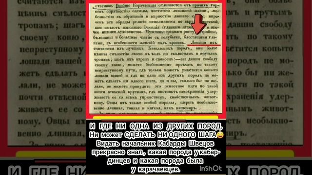 Карачаевская порода и Кабардинская порода лошадей. смотреть онлайн