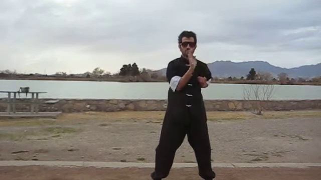Ving Tsun - Siu Nim Tao Form смотреть онлайн