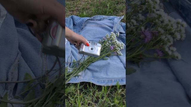 Плёночный фотоаппарат ? смотреть онлайн