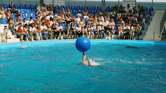 111. Достопримечательности Одессы Украина смотреть онлайн