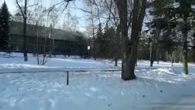 Погода каждый день Иркутск, Irkutsk, 14.01.2020. Академ городок смотреть онлайн