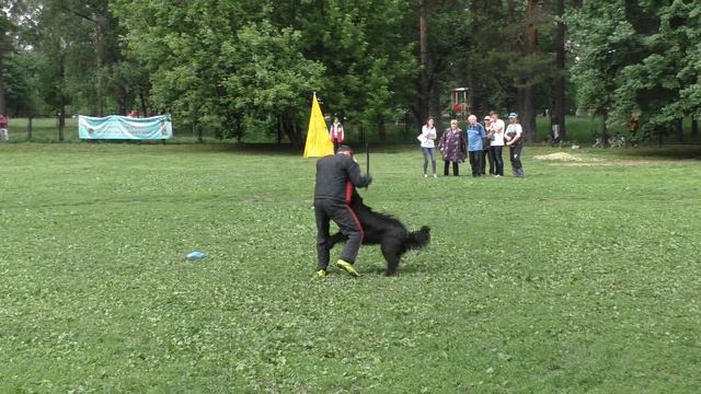 Чемпионат ЦФО 2016 г. по ОКД и ЗКС. смотреть онлайн
