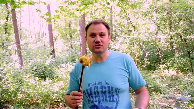 Курица В ЯМЕ. МЯСО в ЗЕМЛЯНОМ тандыре! смотреть онлайн