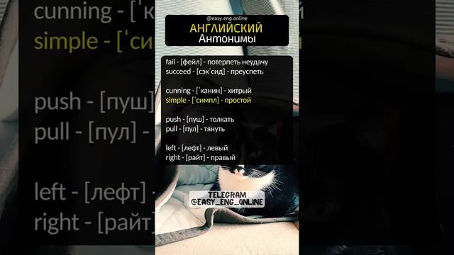 🔥🇬🇧 АНГЛИЙСКИЙ С НУЛЯ САМОСТОЯТЕЛЬНО ❌ Самые популярные английские слова смотреть онлайн