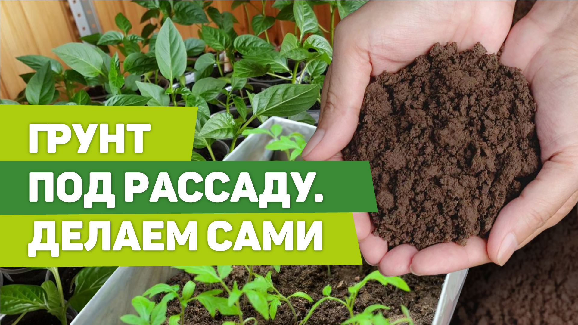 ПОЧВА ДЛЯ РАССАДЫ. Что положить для отличного результата смотреть онлайн