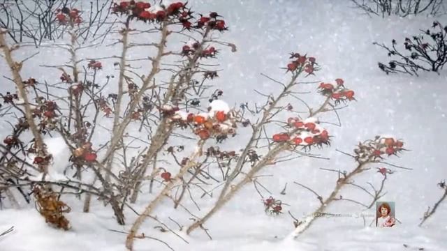 "МОИМ РОВЕСНИКАМ" - ЕВГЕНИЙ КЛЯЧКИН, исп. СВЕТЛАНА СМЫГИНА смотреть онлайн