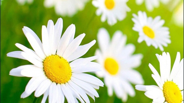 DeeJay Dan - Deep In My Soul 35 [2017] смотреть онлайн