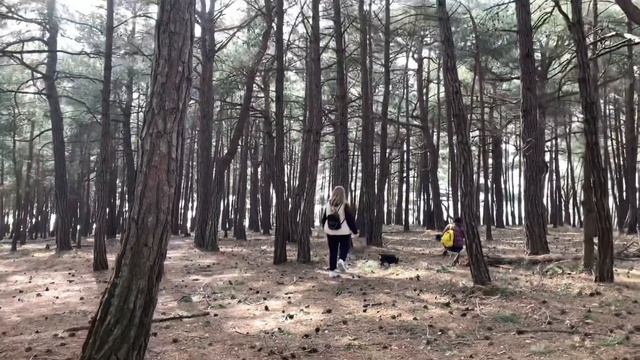 Голубая бездна Геленджик как доехать смотреть онлайн