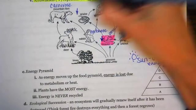 Regents Review: Ecology