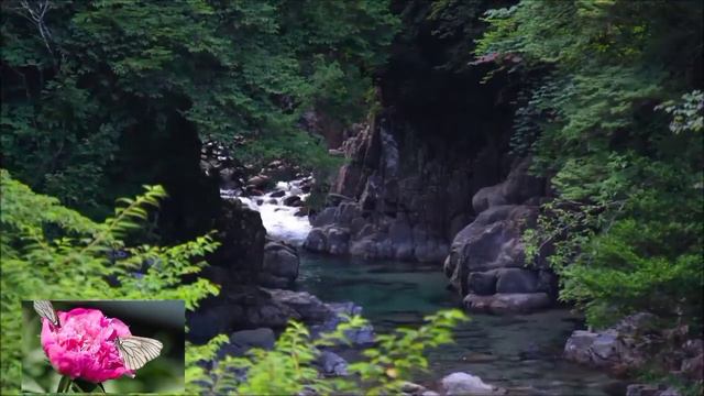 Ferdi Tayfur 1992 . Albom. (R.A.O.)  👍