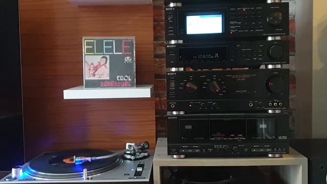 Erol Büyükburc Dudaklarımda şarkisin 1974 taş pilak kayidi смотреть онлайн